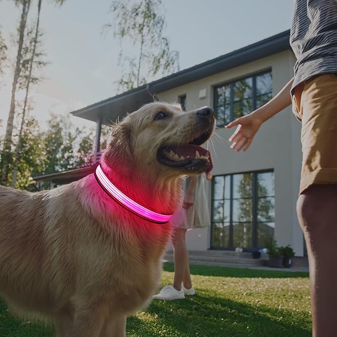 Multi-Color Light up Dog Collar, YFbrite USB Rechargeable LED Puppy Collar Super Bright Adjustable Glowing Dog Lights for Night Walking (Multi-Color, Large)