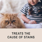 Eye Envy Tear Stain Remover Solution for Cats. 100% Natural, Safe. Treats The Cause of Stains. Recommended by Breeders, Vets, Groomers. Remove Eye Stains from Persians and Exotics. 2 oz. Made in USA