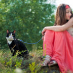 Rypet Reflective Cat Long Leash - 50 FT Escape Proof Walking Leads Yard Long Leash Durable Safe Personalized Extender Leash Traning Play Outdoor for Kitten, Puppy, Rabbit and Small Animals