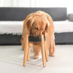 Sted Elevated Dog Bowl for Large Dogs, 100% Bamboo Single Raised Dog Bowl Stand with Adjustable Width 7.5-11 Inches, 13" Tall Dog Food Bowl and Water Bowls Stands