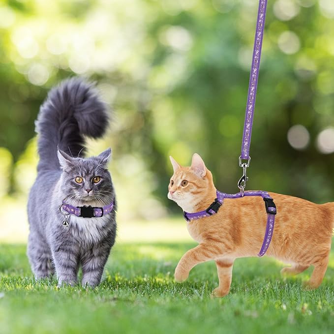 PAWCHIE Cat Harness with Leash and Collar Set - Escape Proof Adjustable H-shped Cat Harness with Star and Moon Pattern Glow in The Dark for Kitty Outdoor Walking, Purple M