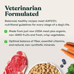 Little Hunter Freeze Dried Fresh Raw Chicken Recipe - Picky Eater-Approved Limited Ingredient Dog Food for All Stages - High Protein, Small Batch, Grain Free, 15 oz