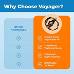 Voyager Escape-Proof Step-in Lock Cat Harness & 5ft Neoprene-Handle Leash Set All-Weather Mesh with Reflective Stitching for Small to Large Cats by Best Pet Supplies, Black Trim-Orange (327), XXS