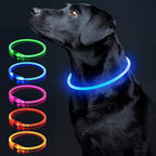 Colaseeme LED Dog Collar, Light Up Dog Collar 1 Count USB Rechargeable TPU Glow Safety Dog Necklace Light, Dog Lights for Small Medium Large Dogs, Please Do Not Use Fast Charging (Blue)
