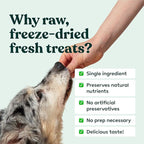 Little Hunter Freeze Dried Dog Treats - Beef Liver - Raw Single Ingredient Beef Liver Dog Treats for Snacks, Training, Dog Food Toppers - All Natural, Healthy Dog & Puppy Treats, 2 oz