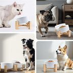 SPUNKYJUNKY 15° Slanted Ceramic Dog and Cat Bowl with Wooden Stand, Tilted Bulldog Food and Water Bowl No Slip Non-Spill for Cats Medium Dogs Big Face Pets 13.5 OZ (1.7 Cups, White × 2)