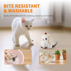 Gigwi Flappy Bird Cat Toy For Indoor Cats, Rechargeable Lifelike Sandpiper Interactive Flapping Bird Cat Toy Tweet, Flapping Wings & Lively Chirping, Catnip Toys For Kitten, Touch Activated (Princess)