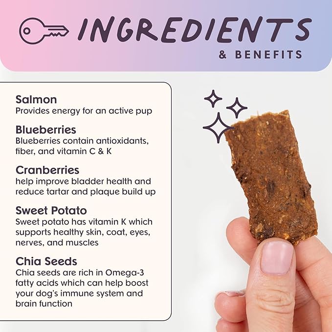 Superfood Dog Treats Salmon, Chicken or Beef Jerky Bars - Dog Treats for Snacks and Training – Made in USA - No Corn, Wheat or Soy – Poultry Free, 5oz or 16oz (Salmon (2 Lbs))