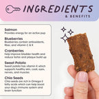 Superfood Dog Treats Salmon, Chicken or Beef Jerky Bars - Dog Treats for Snacks and Training – Made in USA - No Corn, Wheat or Soy – Poultry Free, 5oz or 16oz (Salmon (2 Lbs))