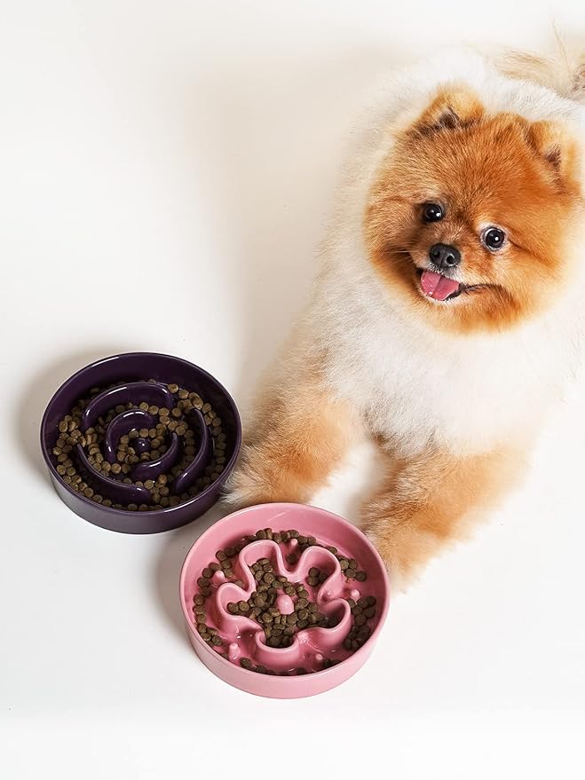 LE TAUCI Ceramic Slow Feeder Dog Bowls Small Breed, 0.6 Cups Dog Food Dish for Fast Eaters, Puzzle Bowl for Small Dogs and Cats,Purple