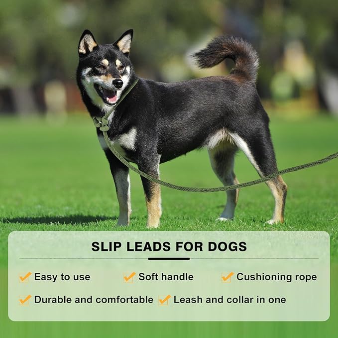 Lynxking Dog Leash Slip Lead Reflective Breathable Rope Comfortable Strong No Pull Slip On Pet Training Lead for Dogs