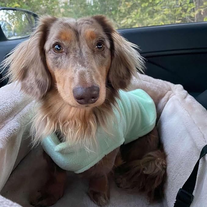 JACKO & CO - Fleece Vest Sweater with Leash Ring - Soft Lightweight Breathable for Puppies Small Medium Dogs, Kitten, Cats, Chihuahua - Warm for Fall/Autumn/Winter (Mint Green, Small 4-6lbs)