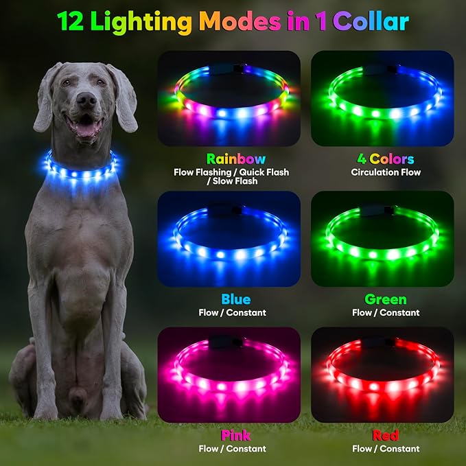 Flashseen LED Dog Collar, USB Rechargeable Glowing Lighted Up Collar, Cuttable Water-Resistant TPU Safety Collar Lights for Small Medium Large Dogs (Style 2)