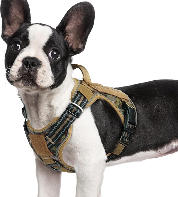 rabbitgoo Dog Harness Small Sized No Pull, Tactical Service Pet Vest with Molle and Control Handle, Adjustable and Reflective Military Harness for Easy Walking and Training, Desert camo, S