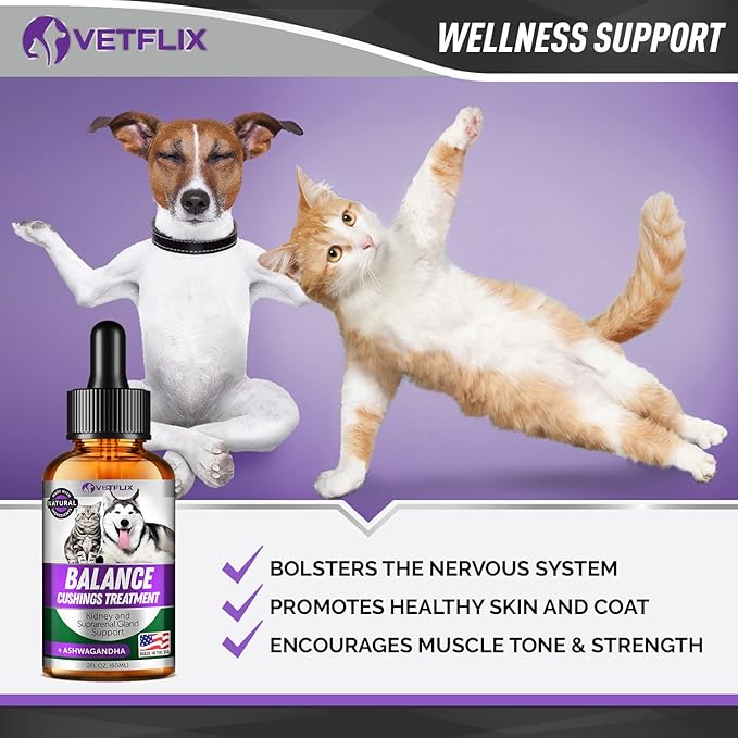 Balance Pet Adrenal Support for Dogs & Cats - Made in USA - Cushing's & Kidney Support Supplement - Natural Endocrine Health Formula - 2 Fl Oz