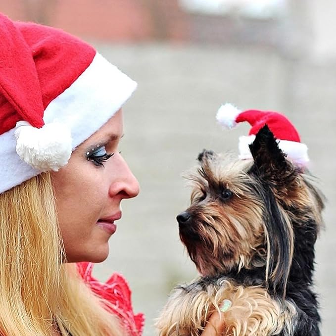 Christmas Cat Costume - Santa Hat Outfit for Small Dogs & Cats | Festive Pet Santa Suit with Red Velvet Cape & Bell | Cute Xmas Holiday Costume Accessories (Red, Small)