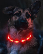 Joytale Light Up Dog Collar, Rechargeable Rainproof LED Collar for Night Walking Safety, Soft Silicone Glow in The Dark, Suitable for Small Medium Large Dogs, Red