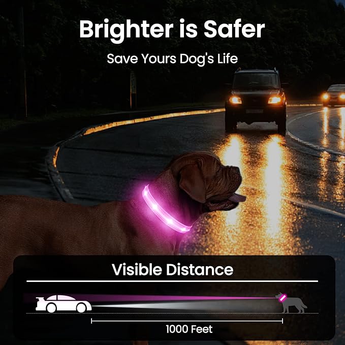 MASBRILL Light Up Dog Collars-RGB Led Collar for Dogs Rechargeable Lighted Dog Collar Water-Resistant Colorful Glow in The Dark Dog Collars for Night Walking