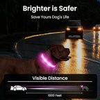 MASBRILL Light Up Dog Collar - RGB LED, Rechargeable, Water-Resistant Glow Up Night Walking Collar for Small to Large Dogs