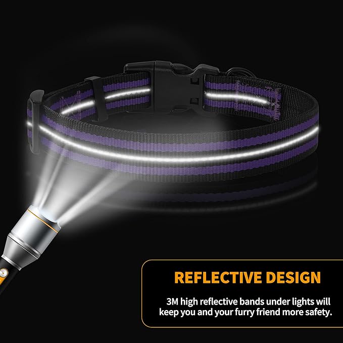 Mile High Life Reflective Dog Collar | Nylon Pet Collars wiith Buckle | Light Weight Puppy Collars | Purple Dog Collars for Large Dogs (Purple, L)