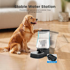 Gardner Pet Automatic Gravity Water Dispenser for Dogs, 1.6Gallon Large Dog Water Bowl Dispenser with Stainless Steel, 100% BPA-Free Pet Water Fountain with Filter for Dogs, Cats, Puppies(Black)