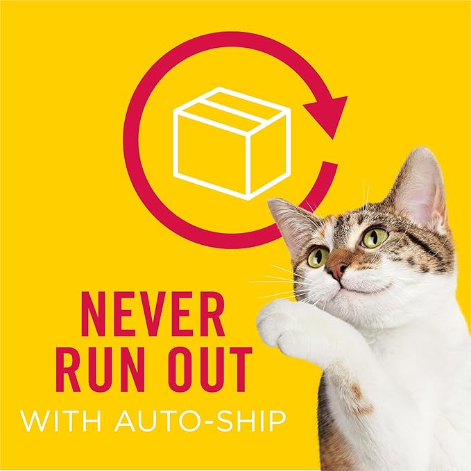 Friskies Purina Grain Free Wet Cat Food Lickable Cat Treats Variety Pack, Lil' Soups With Salmon, Tuna or Shrimp - (Pack of 30) 1.2 oz. Cups