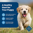 Blue Buffalo Life Protection Formula Puppy Dry Dog Food with DHA and ARA, Made with Natural Ingredients, Chicken & Brown Rice Recipe, 34-lb Bag