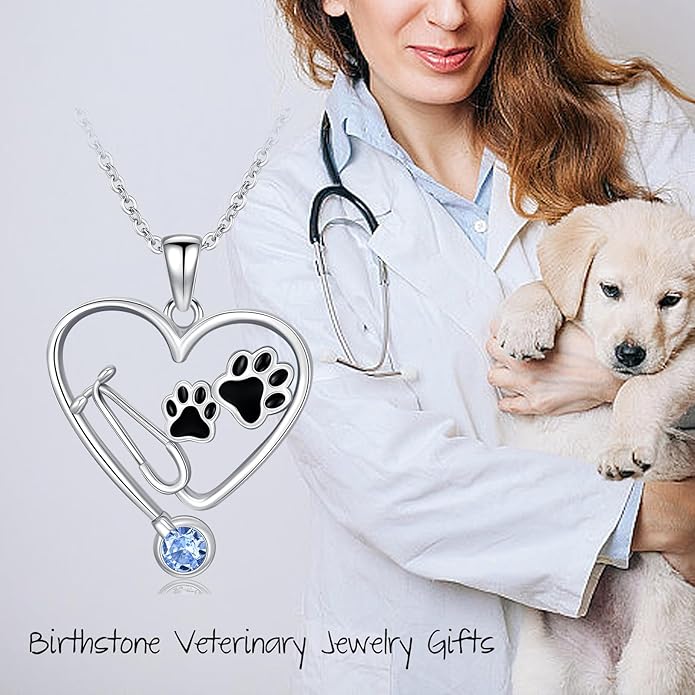 Birthstone Veterinary Stethoscope Necklace 925 Sterling Silver Nurse Vet Pendant with Dog Paw Nurse Jewelry Gifts for Veterinarian Nurse Women Veterinarian Gifts