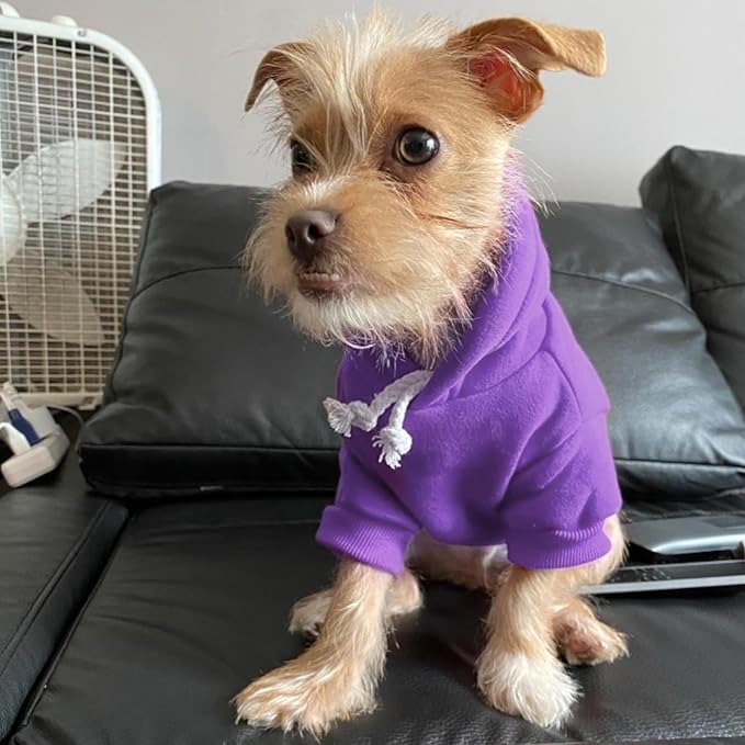 BINGPET Dog Hoodies - Fleece Lined Fall Dog Puppy Sweatshirt Soft Warm Sweater Winter Hooded Clothes for Small Medium Large Dogs & Cats