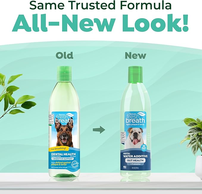 TropiClean Fresh Breath Water Additive for Dogs with Prebiotics, Gut Health for Dogs, Breath Freshener and Teeth Cleaning Solution, 16oz.