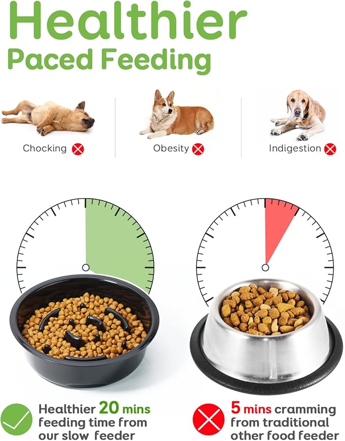 Pawque Elevated Slow Feeder Bowls - Adjustable Raised Dog & Cat Bowl with 3 Heights (6.1", 7.7", 9.3") for Medium & Small Pets, Mess Proof & Non-Slip Dish Feeder