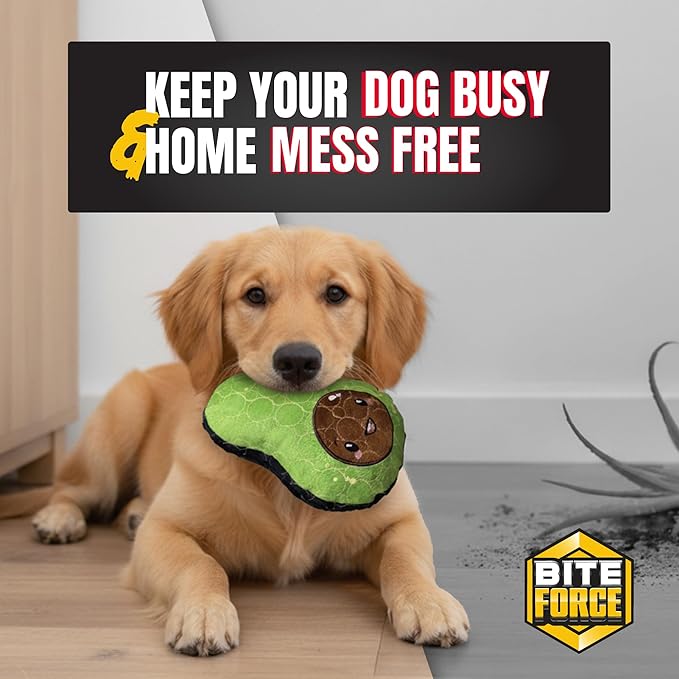 Bite Force - Durable & Strong Dog Toy Avocado Squeaker, Kevlar-Reinforced for Aggressive Chewers for Small Medium Large Dogs - Green.
