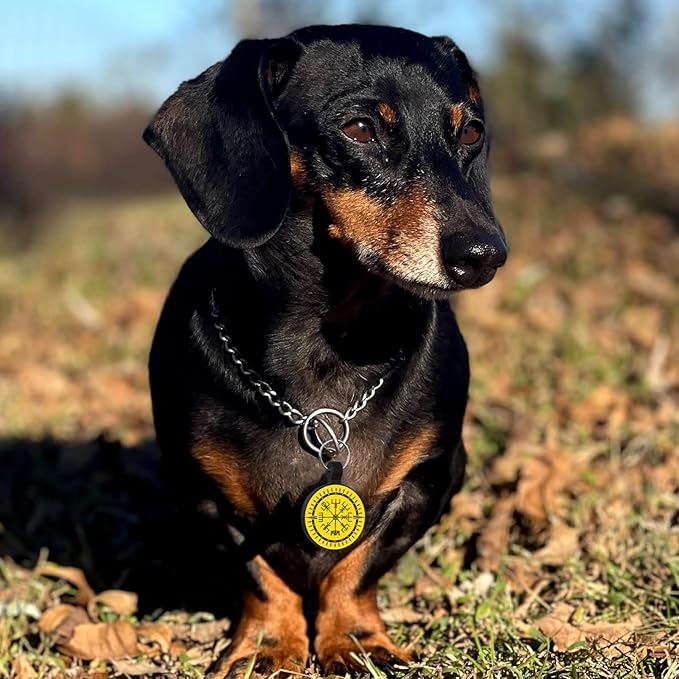 MYLUCKYTAG QR Code Silicone Pet ID Tag for Dogs and Cats - Online Profile, Location Alert Email, Digital Tag, Quiet and Durable Collar Tag, Engraved