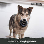 Barkbox Super Chewer Tough Dog Chew Toys for Aggressive Chewers, Dental Stimulating (Radius - Large)