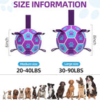 QDAN Dog Toys Soccer Ball - Durable Dog Balls with Strap for Medium Small Dogs, Puppy Birthday Gifts, Dog Tug Toy for Tug of War (8 Inch)