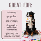 Polkadog Premium Healthy Dog Birthday Treat - Soft, Chewy & Vegan Treats - New England Peanut Butter and Banana Small Batch Recipe - Perfect Training Size, Ideal for Any Occasion | Cake Batter Flavor