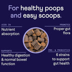 Finn Digestive Probiotics for Dogs - Complete Digestive System Support with Pumpkin, Prebiotics, & Live Probiotics - Vet Recommended & Made in The USA - 90 Soft Chews