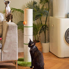 Nekosan Cat Scratching Post, 32 Inch Tall Scratching Post for Indoor Cats, 5.5 Inch Large Sisal Cat Scratcher Post, Cute Cat Scratcher with Interactive Cat Ball Toy, Protect Your Furniture, Beige