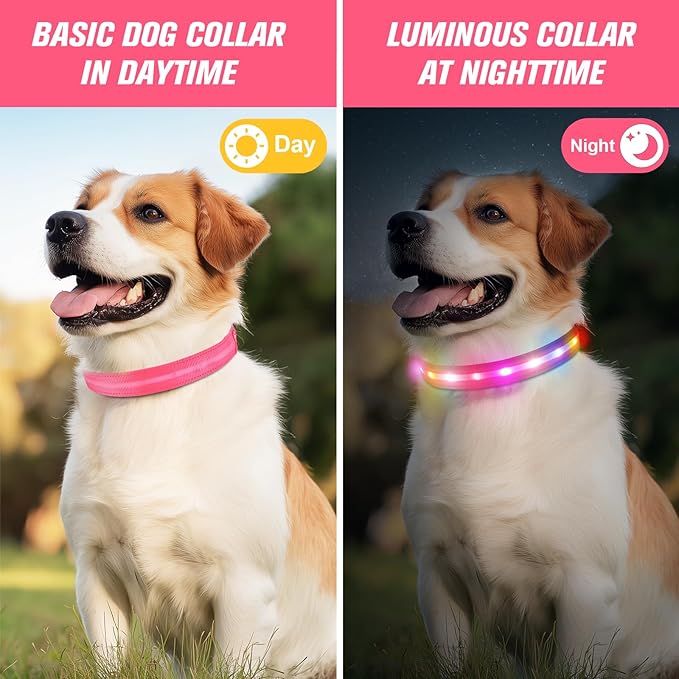 LED Dog Collar, Light Up Dog Collar, USB Rechargeable - Brightest Dog Lights for Night Walking, 6 Light Modes, Adjustable for Dog Safety(Medium, Candy Pink)
