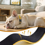 Reflective Dog Collar, Soft Neoprene Padded Nylon Pet Collar with Quick-Release Buckle, Adjustable for Mediunm Dogs,Khaki,M, 3/4" Width