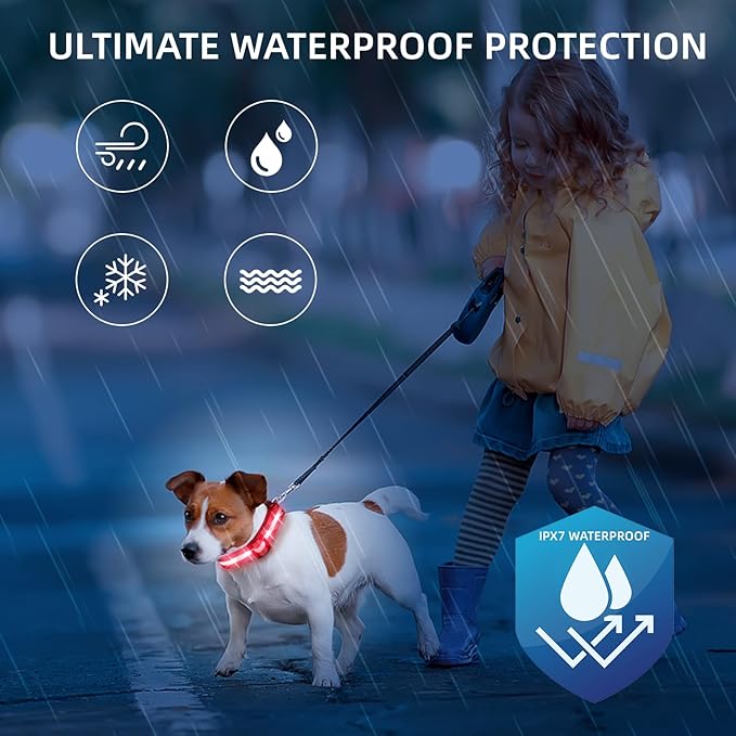 Super Bright LED Dog Collar - Fully Waterproof & Adjustable Glow Collar - USB-C Rechargeable for Night Walking, Safety - Flashing Lighted Collar for Dogs(Red,S)