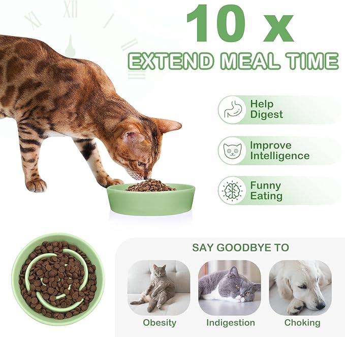 TRUVIC Ceramic Slow Feeder Dog Bowls Small Breed, 0.6 Cup Slow Feeder Cat Bowls for Fast Eaters, Ceramic Dog Food Dish no Black Chin, Puzzle Bowl for Small Dogs and Cats, Green