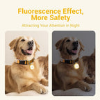 Pawaii Fluorescent QR Code Pet ID Tag, Glow in The Dark Durable Silent Silicone Pet ID Tag, Scan QR Receive Instant Pet Location Alert Email, Designs for Cat or Dog, 1Pack (Orange)