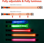 Vizpet LED Dog Collar, Light Up Dog Collar Adjustable USB Rechargeable Super Bright Safety Light Glowing Collars for Small Dogs(Small,Orange)