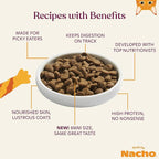 Made by Nacho Dry Cat Kibble 11lb Bag, High Protein and Grain-Friendly Premium Cat Food, Sustainably Caught Salmon and Pumpkin, Infused with Bone Broth for Hydration, Limited Ingredients, Single Bag
