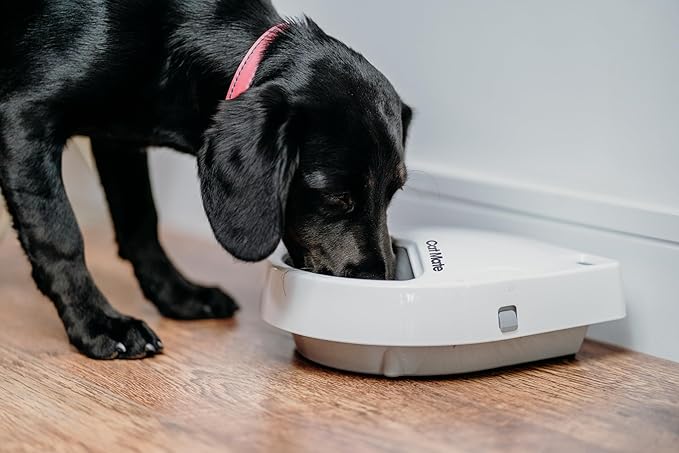 Cat Mate C300 Automatic 3 Meal Pet Feeder with Digital Timer (366) - for Cats or Small Dogs, for Wet and Dry Pet Food, Meals up to 0.73 lb Each, White