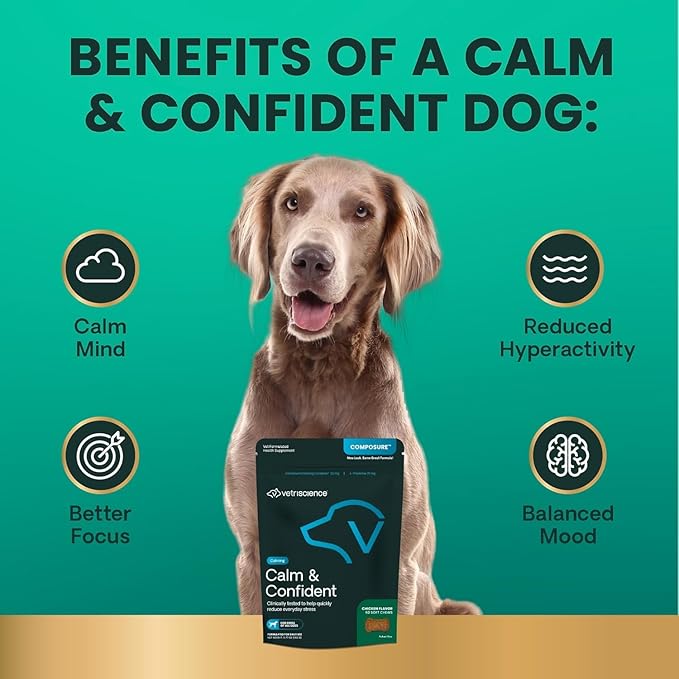 VETRISCIENCE Calm & Confident Chews, Composure Clinically Tested Calming and Anxiety Supplement for Dogs, Reduce Stress and Fear, Ideal for Thunderstorms, Fireworks and Travel, Chicken, 60 Count