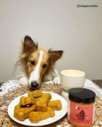 kin+kind Hip and Joint Supplement for Dogs & Cats – Vet Formulated Natural Joint Support with Organic Turmeric, Black Pepper & Coconut – Dog Essentials & Cat Essentials – Made in USA – 8 oz (Large)