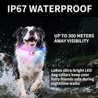 LaRoo LED Light Up Dog Collar, Multi-Color Glowing Safety Pet Collar, USB Rechargeable, Adjustable, Night Walk High Visibility Collar Safety Dog Light for Small Medium Dogs(Pink)