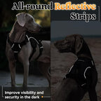 rabbitgoo Escape Proof Dog Harness, Soft Padded Full Body Pet Harness, Reflective Adjustable No Pull Vest with Lift Handle and Leash Clip for Large Dogs Walking Hiking Training, L, Black